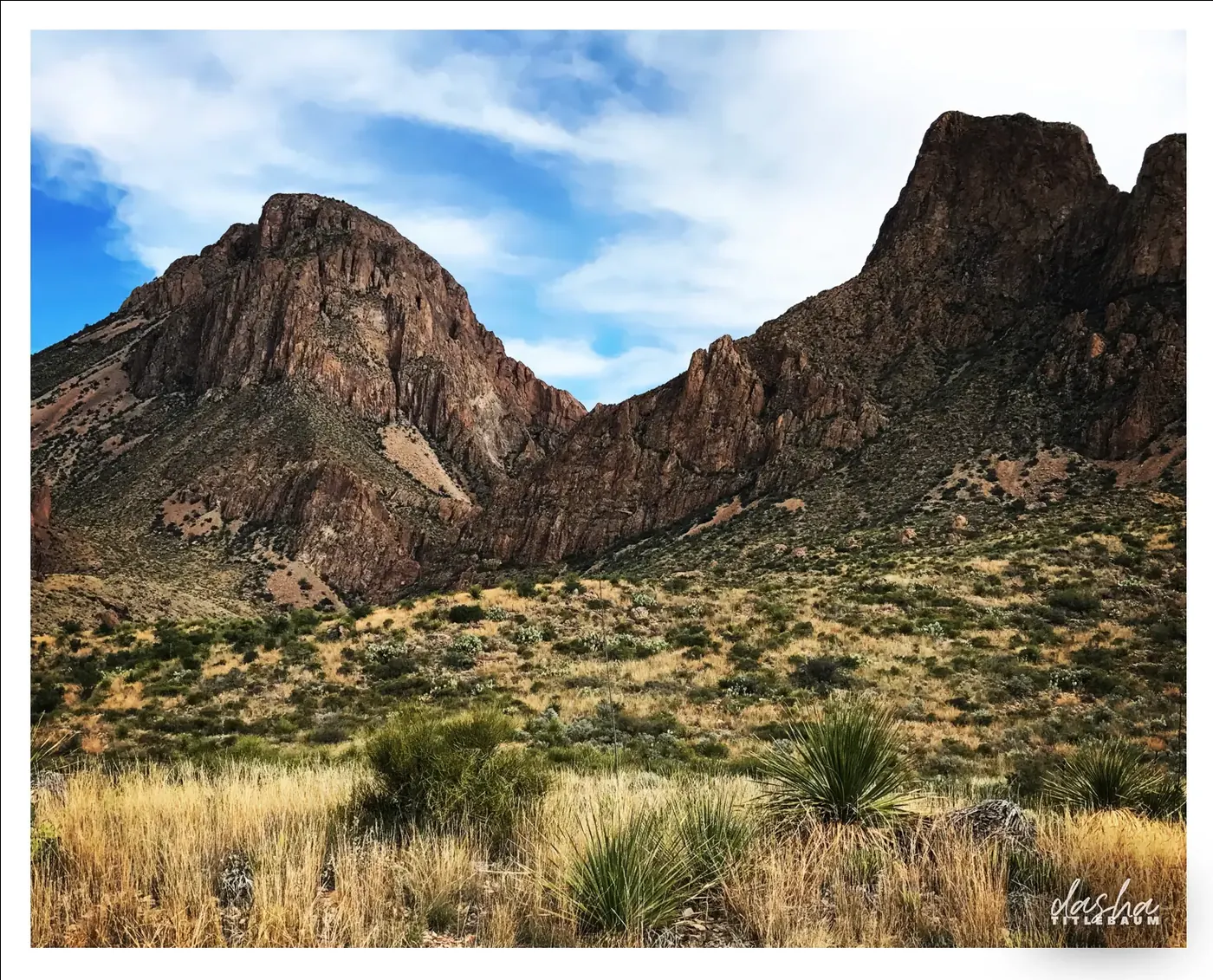 Big Bend Desert Vista, Rugged desert landscape of Big Bend National Park with dramatic rock formations and native plant life.