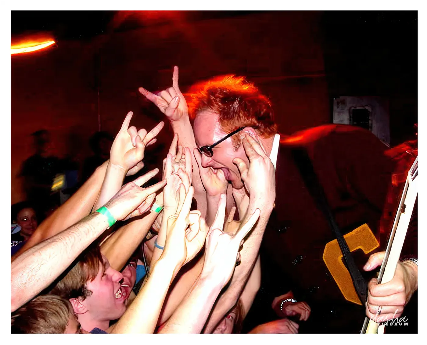 Nerf Herder, Punk set shot tight from the pit, capturing the energy between band and crowd.